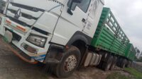 Sino Howo Flatbed (E7 ZZ ) 2016 (ማንዋል ማርሽ ደረቅ ጭነት ማጓጓዣ ረዥም ተሸከርካ) Multi function power train