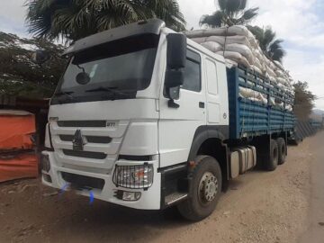 Sino Howo freight (371) 2021 is large vehicles carry truck