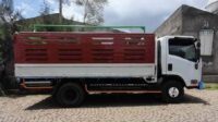 Isuzu Elf/ N-Series (R200) 2012 is a range of light medium duty Commercial trucks