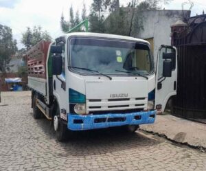 Used Isuzu Elf/ N-Series