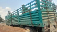 Semi-trailer Make Rolfo 3-axle 3-way tipper trailer–long transport