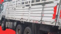 SINOTRUK HOWO Lorry Truck 371 (2024) HP 6×4 Fence Cargo Truck