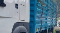 SINOTRUK HOWO Lorry Truck 400 (202) HP 6×4 Fence Cargo Truck