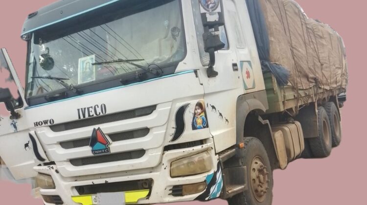 Sinotruk HOWO Cargo Truck 371 Is (2019) With Fence