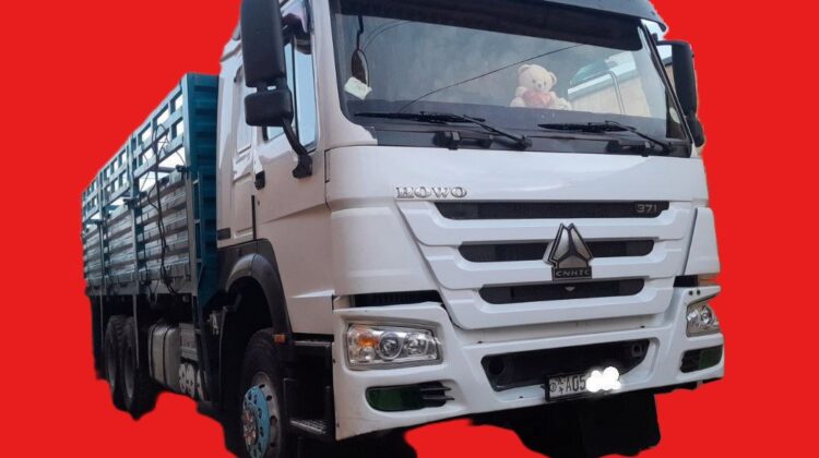 SINOTRUK long Vehicle HOWO 371 (2020) Lorry Truck