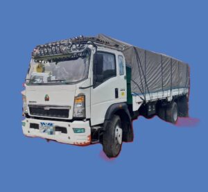 SINOTRUK Cargo Trauck & Trailer 